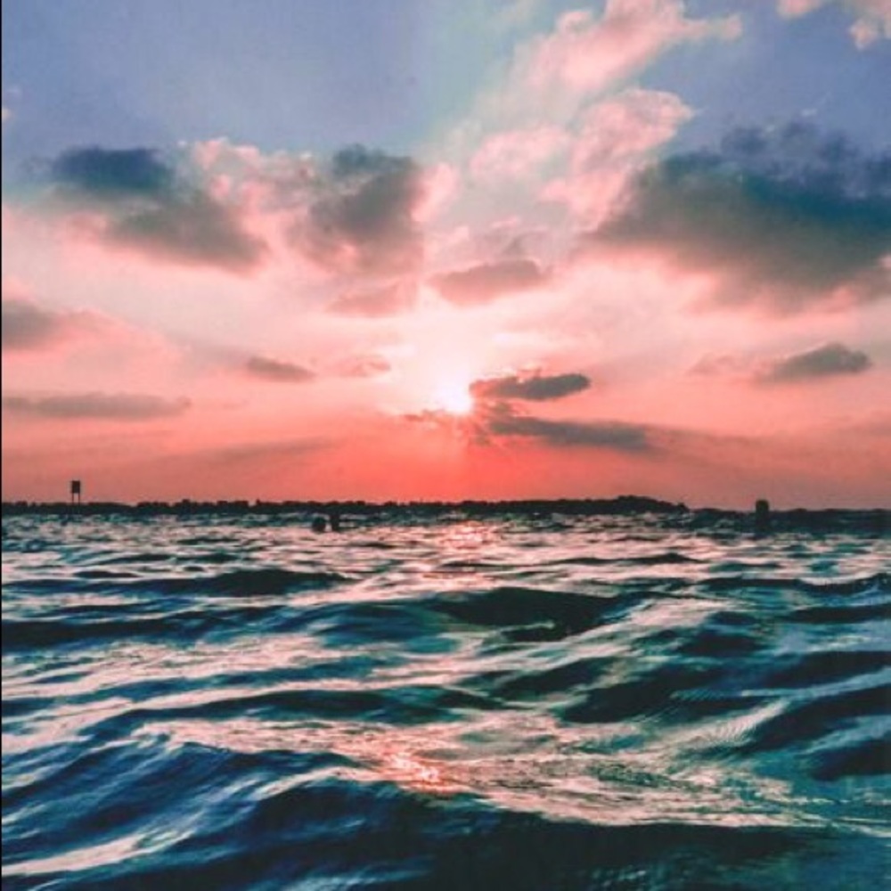 Meet your Posher, Julianne